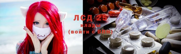 гидра Киренск