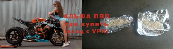 гидра Киренск