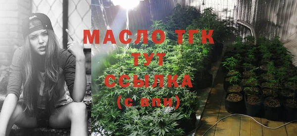 молекула духа Кинешма